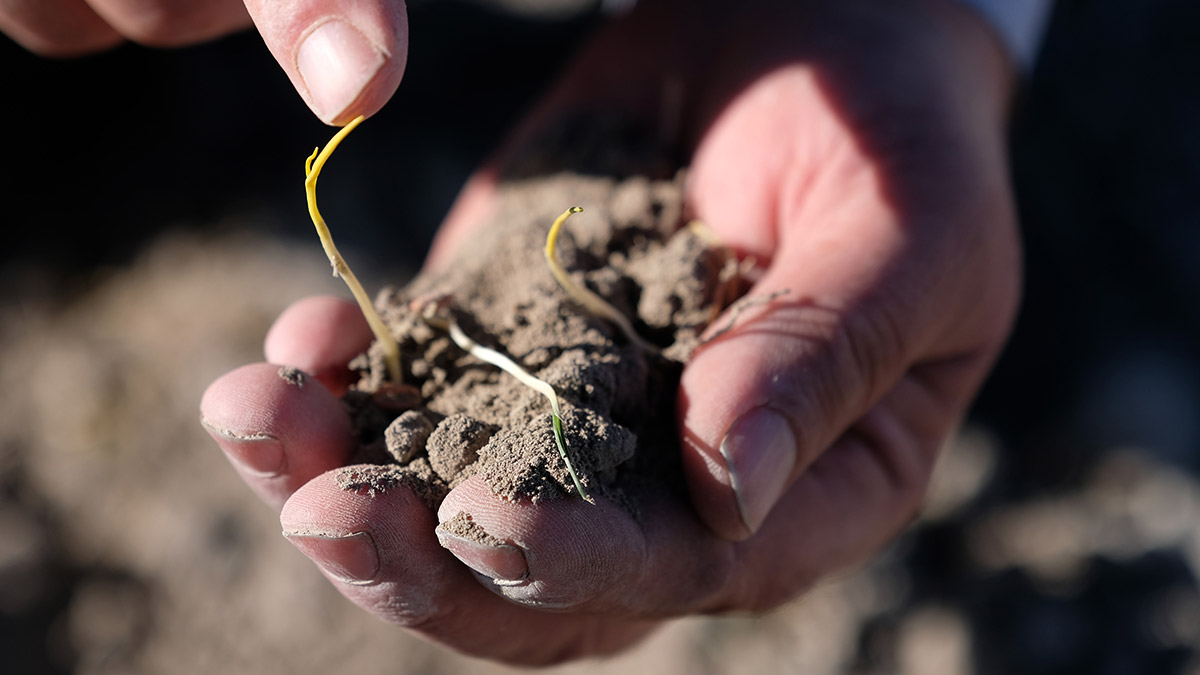 Konya Ovası'nda beklenen yağışlar düşmedi