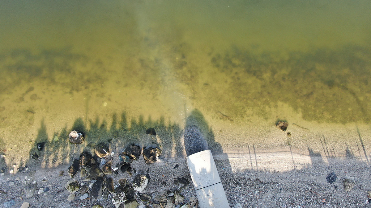 Küçükçekmece Gölü 1. derece sit alanı ilan edilmeli