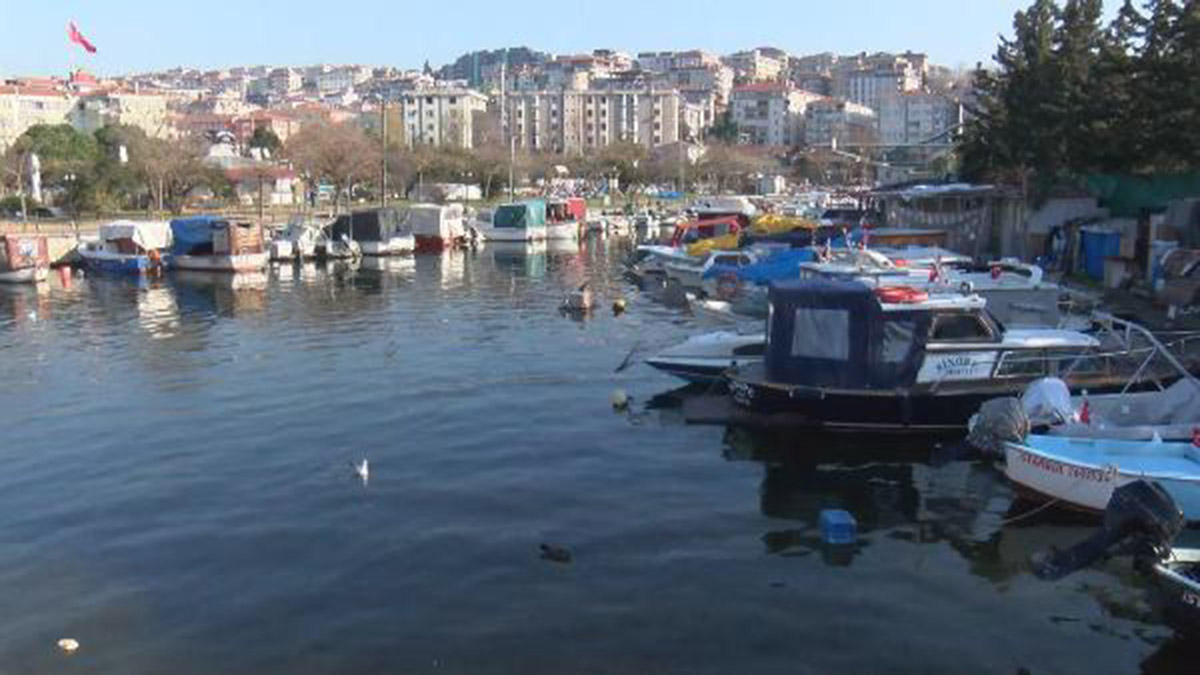 Küçükçekmece Gölü 1. derece sit alanı ilan edilmeli