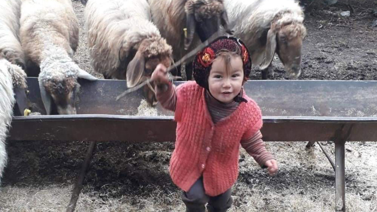 Müslüme'nin annesi kayınpederinin cinsel saldırısını itiraf etti