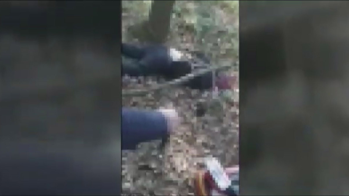 Ormanda cesedi bulunmuştu; Katili bulundu