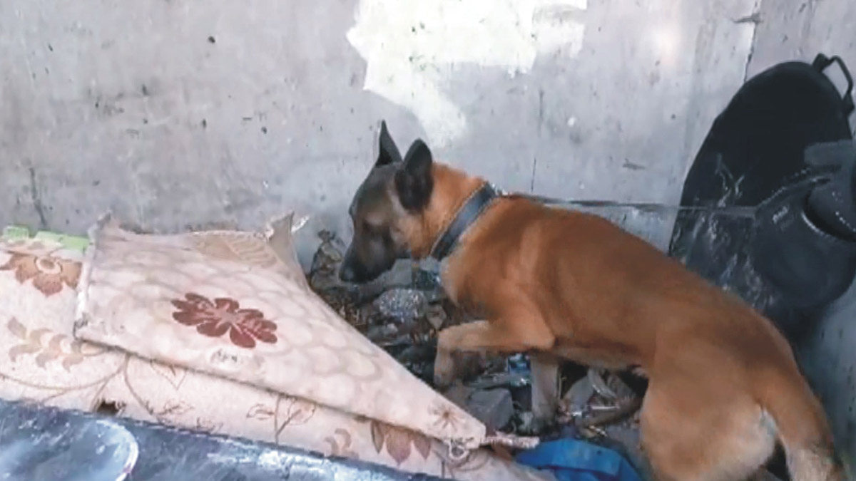 Osmaniye'de torbacı operasyonu; 5 gözaltı