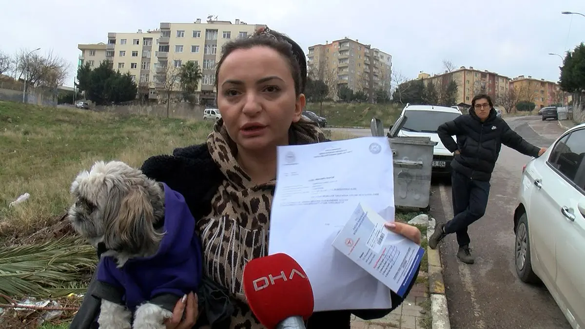 Pendik'te evinden çıkarak okula gitmek üzere sokakta yürüyen 10 yaşındaki ilkokul öğrencisi sokak köpeklerinin saldırısına uğradı.