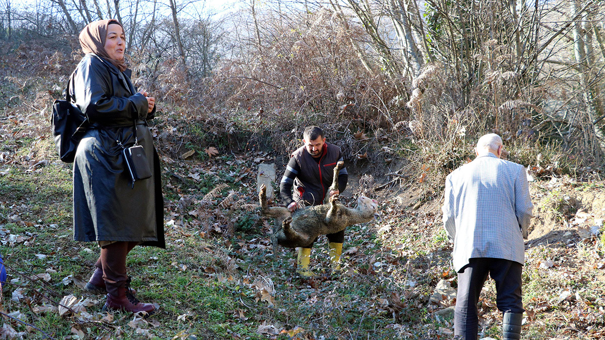 Rüya görünce kazı çalışması başlattı
