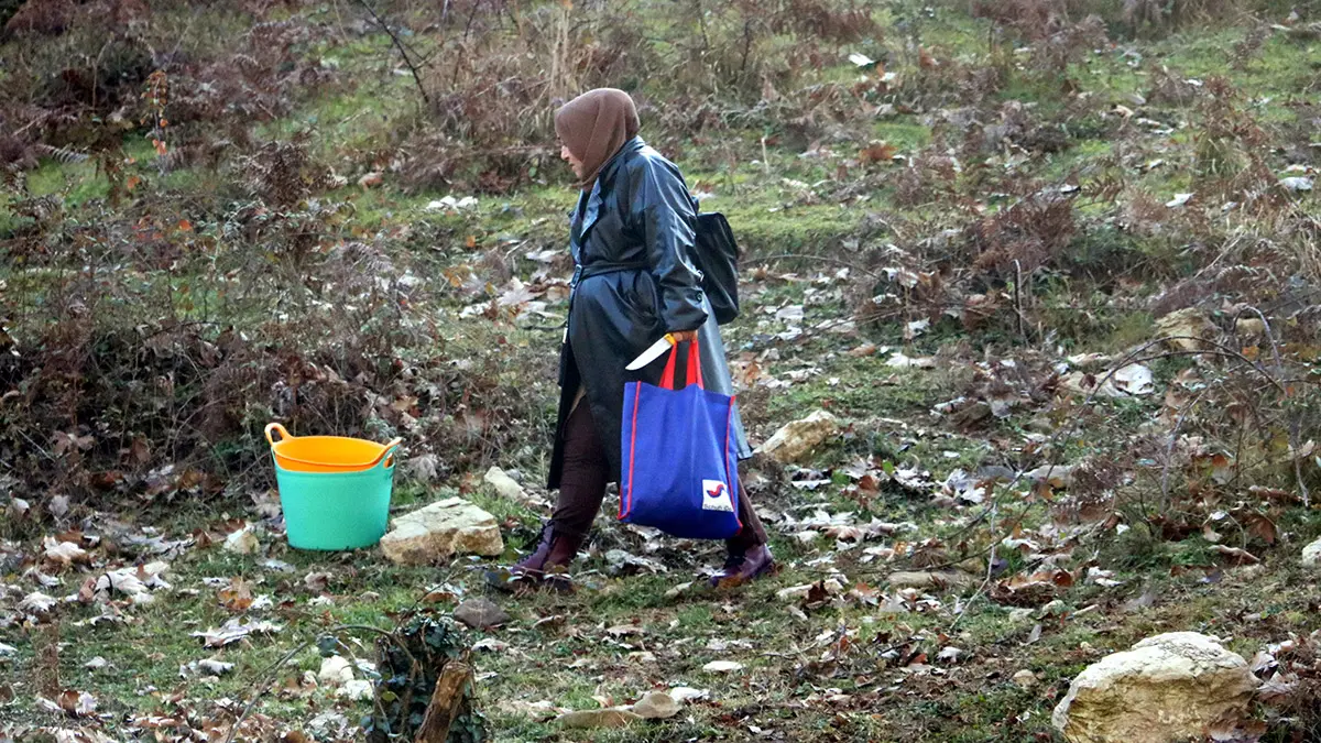 Rüya görünce kazı çalışması başlattı