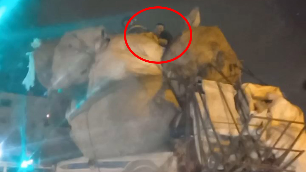 Sancaktepe'de kamyonet kasasında tehlikeli yolculuk