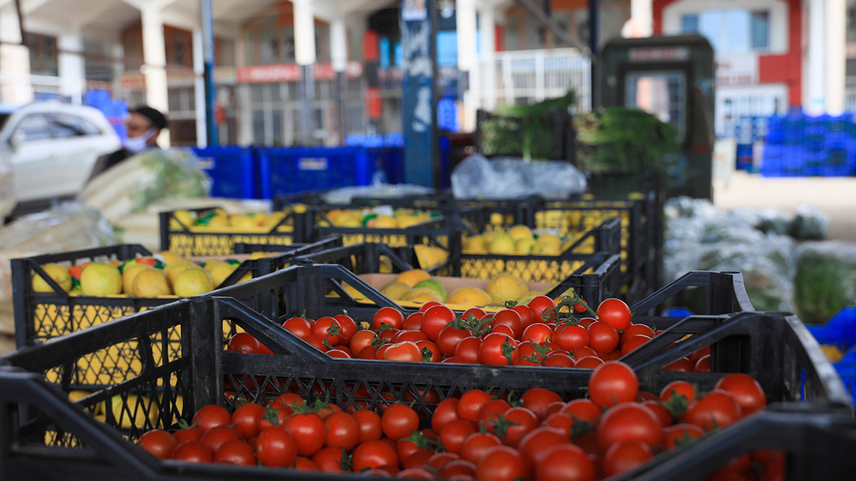 Antalya Yaş Sebze ve Meyve Toptancı Hali'nden 2022'de gerçekleştirilen sebze ve meyve ihracatı, önceki yıla göre 80 bin ton azalarak, 700 bin tona düştü.