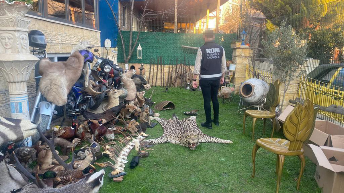 Silivri'de tarihi eser operasyonu