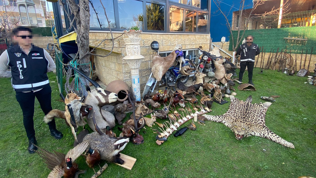 Silivri'de tarihi eser operasyonu