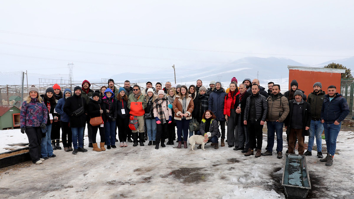 Barınak hayvanlarına yönelik sosyal sorumluluk projesi