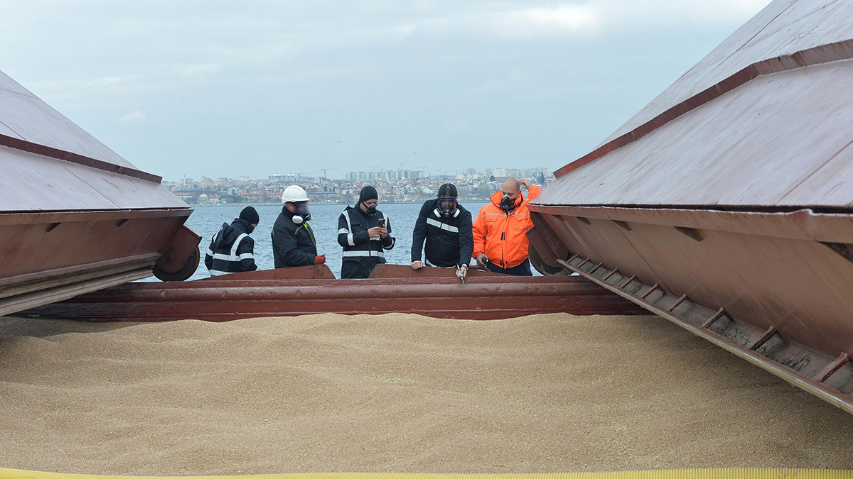 Afganistan'a gidecek tahılın denetimleri yapıldı