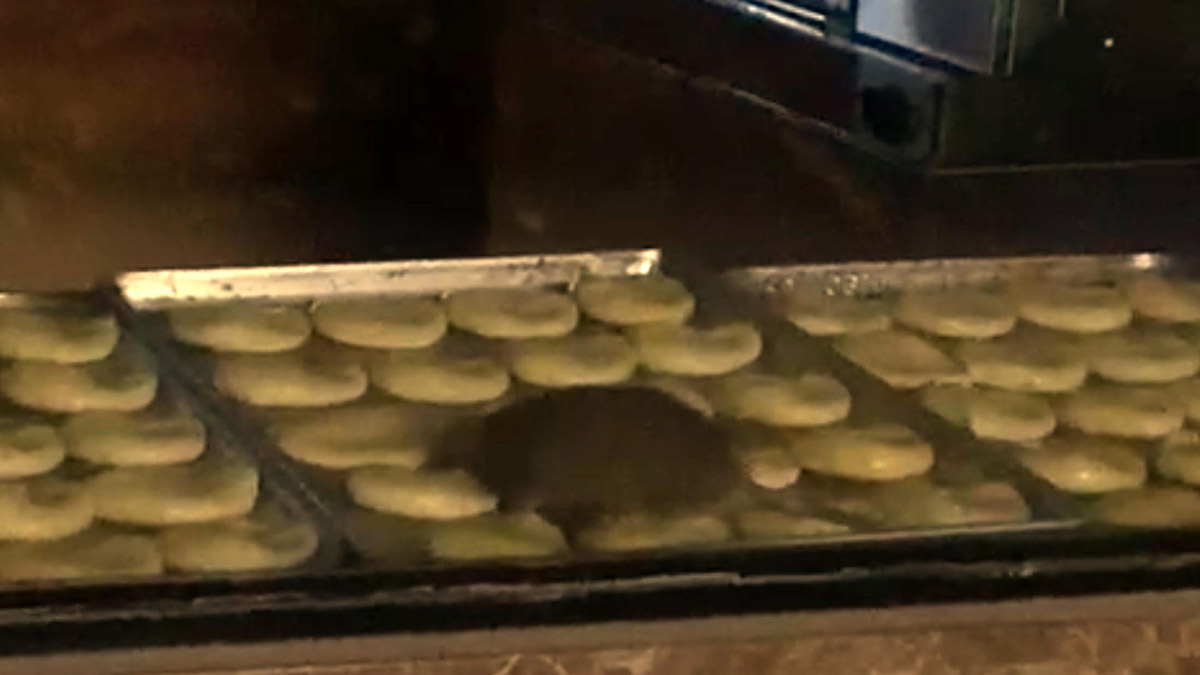 Yiyeceklerin üzerinde fare gezen işletme mühürlendi