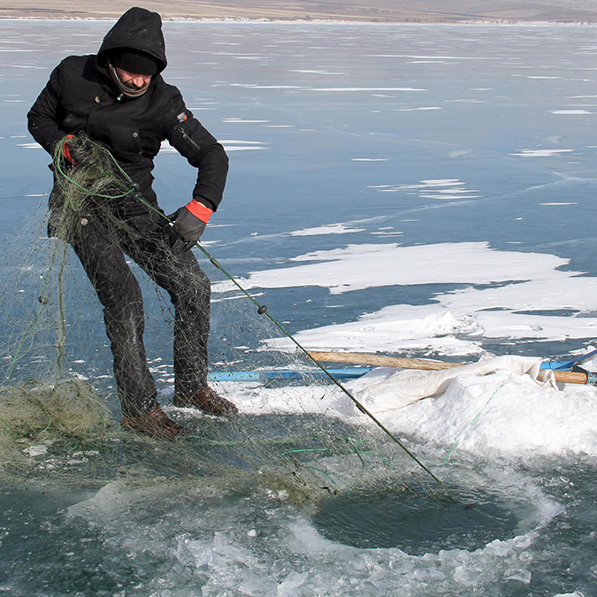 Çıldır Gölü'ne bırakılan ağlar, toplanmaya başladı