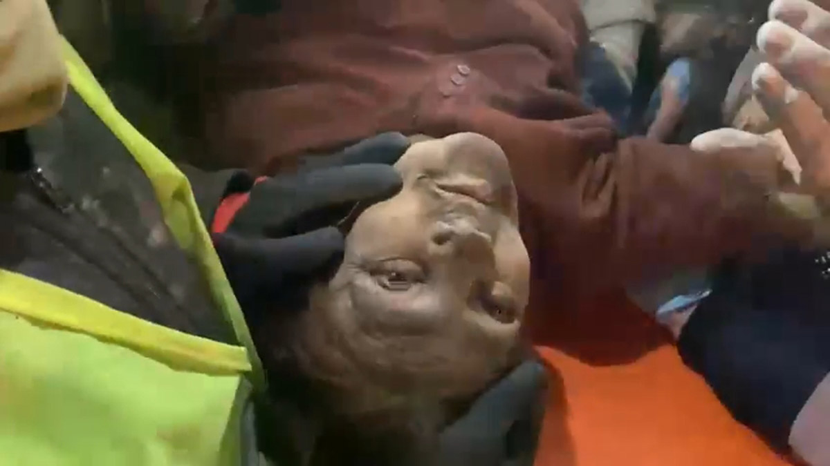 125 saat sonra enkazdan sağ çıkarıldı