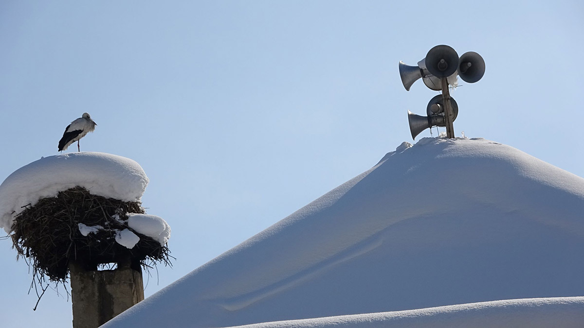 6 yıldır göç etmeyen leylek çiftine köylüler bakıyor