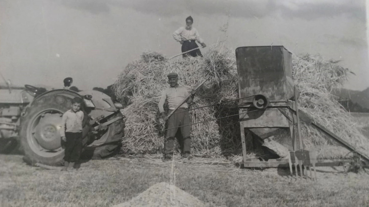 73 yıllık traktör saat gibi çalışıyor