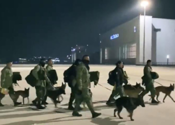 Arama kurtarma köpekleri nasıl eğitiliyor