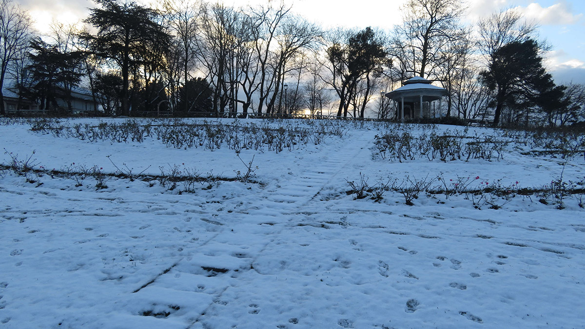 Çamlıca Tepesi beyaza büründü
