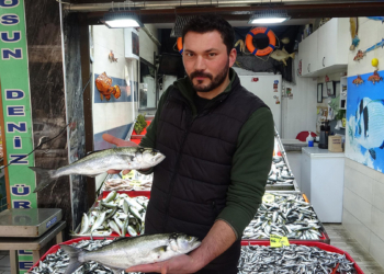 Çanakkale Boğazı'nda hamsi avı yasağı