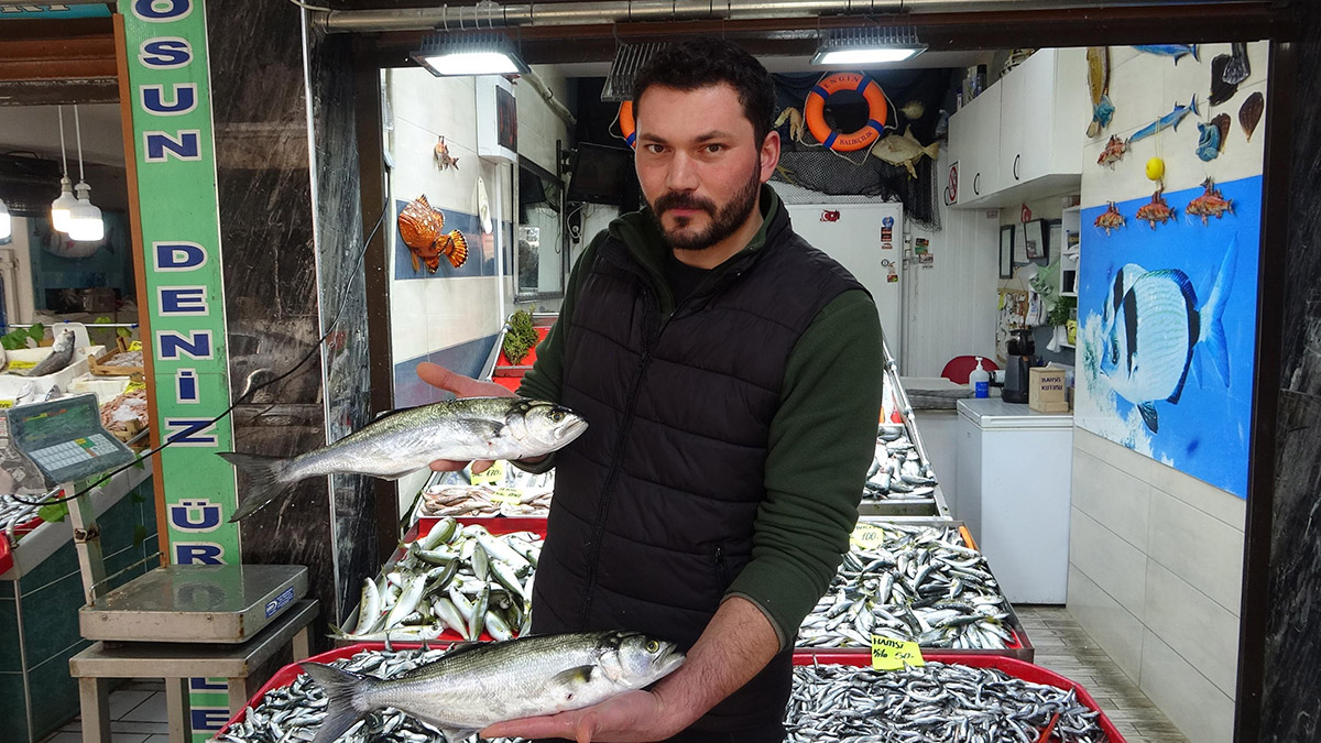 Çanakkale Boğazı'nda hamsi avı yasağı