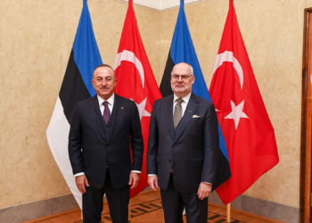 Çavuşoğlu, Estonya Cumhurbaşkanı ile görüştü