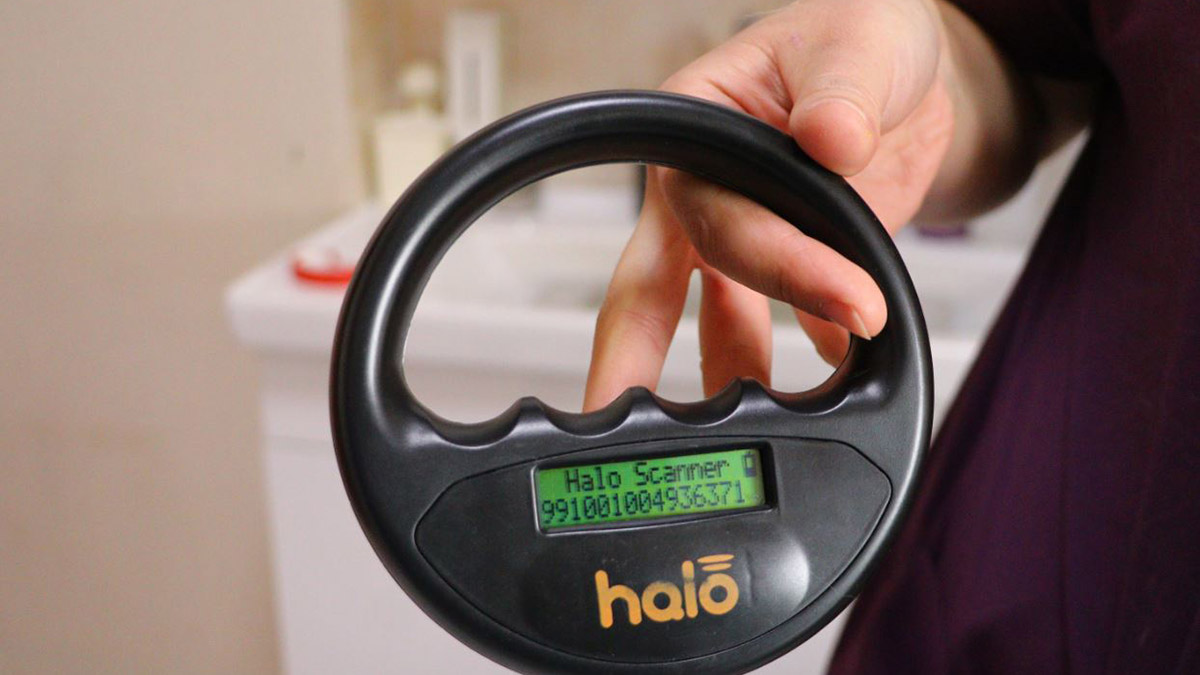 Çip taktırmayanlara ilk cezalar uygulandı