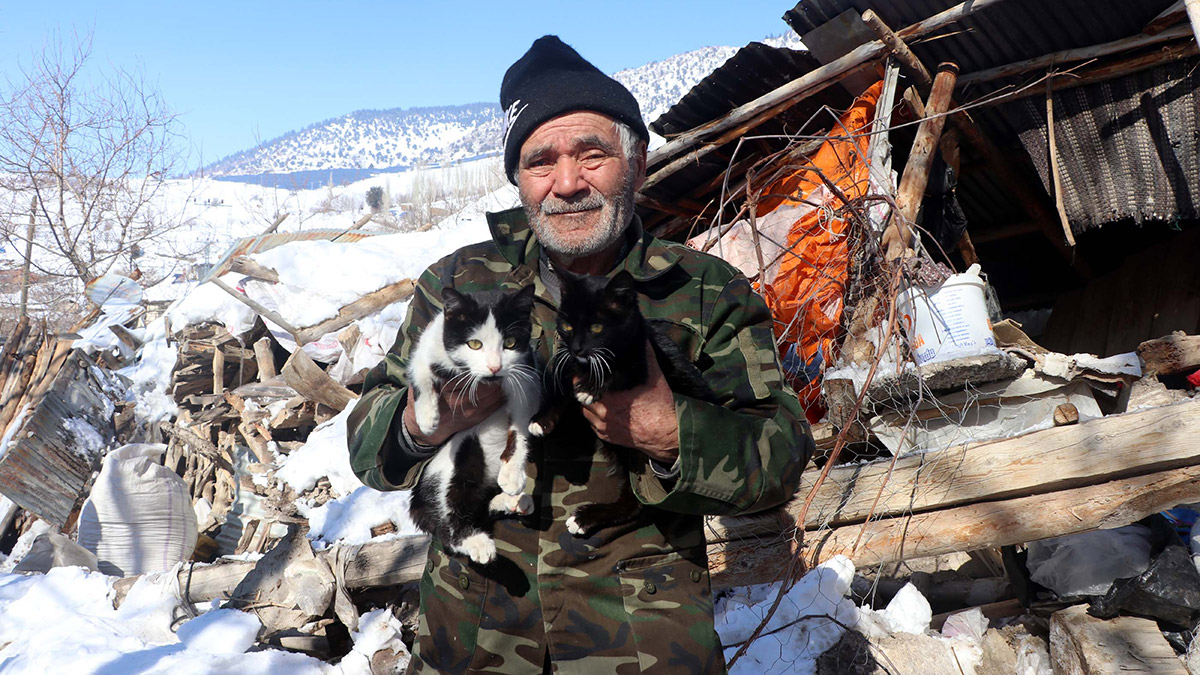 Depremde eşini kaybetti, 4 kedisini kurtardı