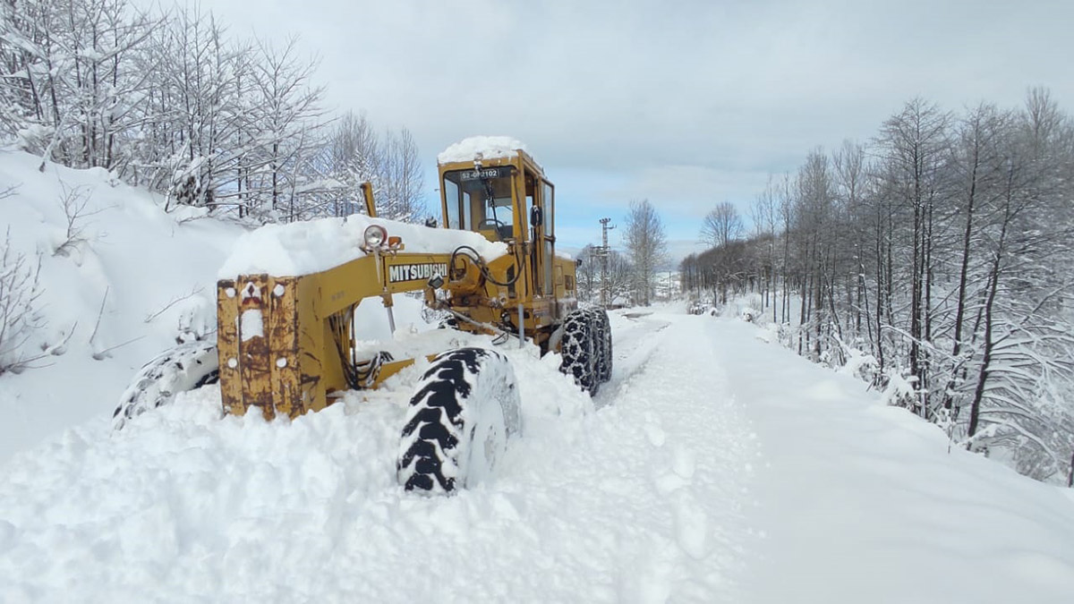 Doğu Karadeniz'de kar; 201 yol ulaşıma kapandı