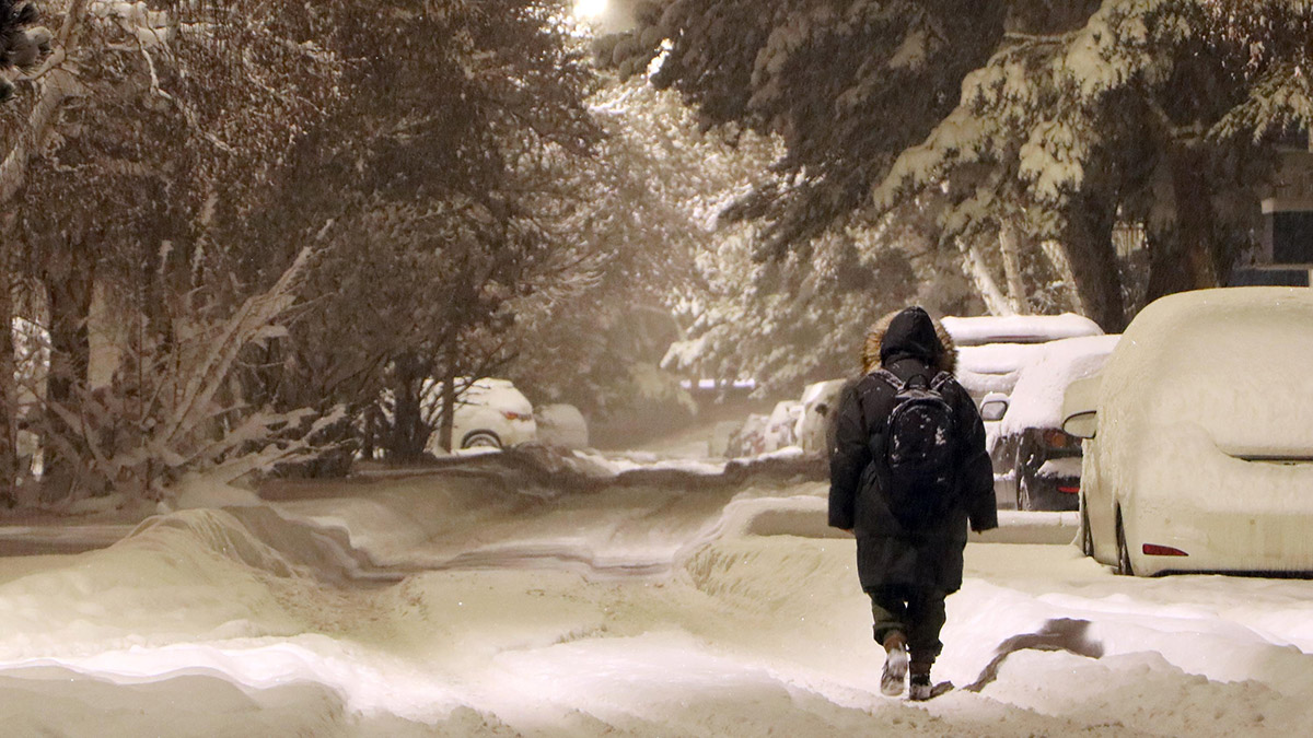 Doğu'da kar esareti; 1560 köy yolu kapandı