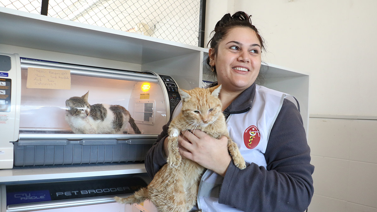 Enkazdan kurtarılan kedi ve köpekler tedavi edildi