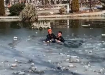 Gölete düşen kız çocuğunu polis kurtardı