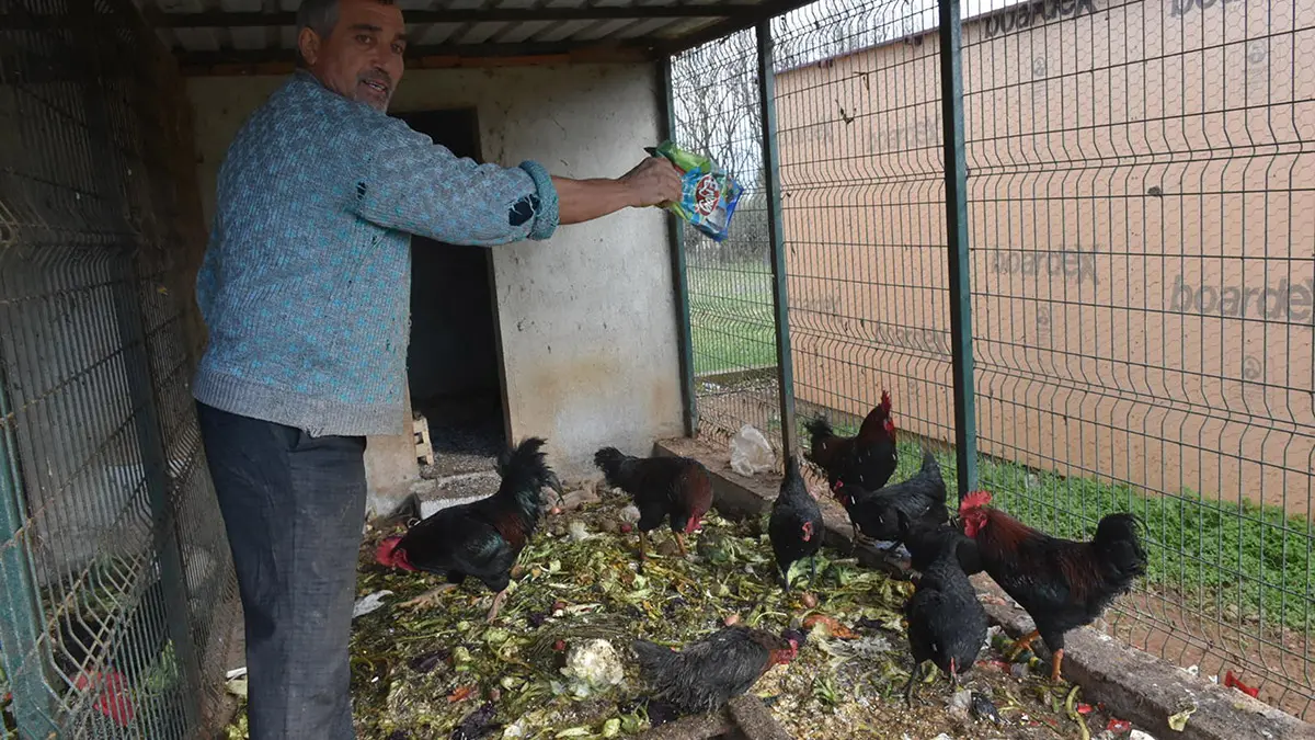 Gozyasi ciftligi can dostlara yuva oldua - yaşam - haberton