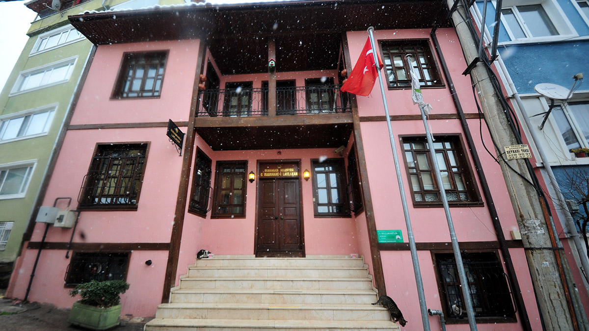 Gurabahane-i Laklakan sokak hayvanlarına şifa oluyor