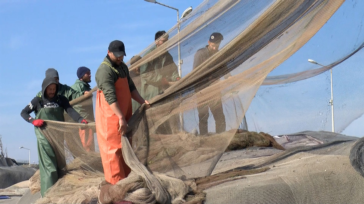 Hamsi avcılığı, Marmara ile boğazlarda durduruldu