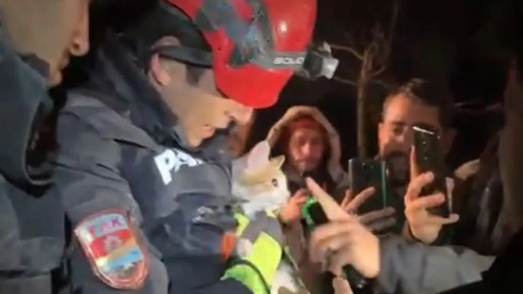 Hasar gören binada mahsur kalan kedi kurtarıldı