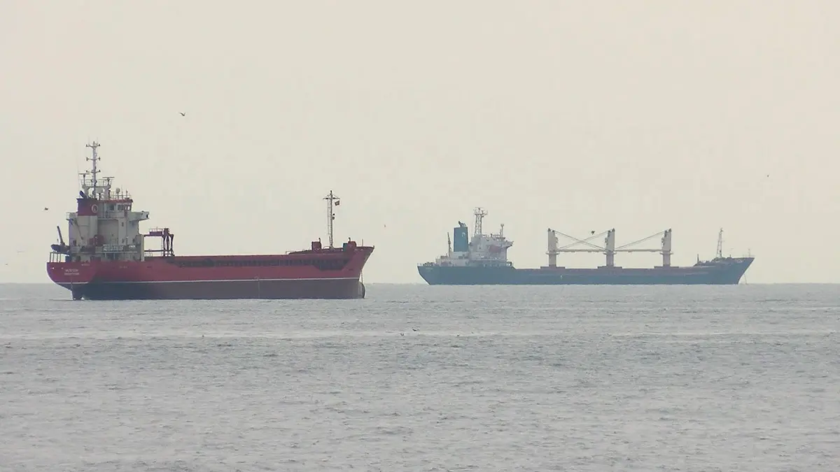 Istanbulda gemilerin yuzde 40i tehlikeli yuk tasiyor a - yaşam - haberton
