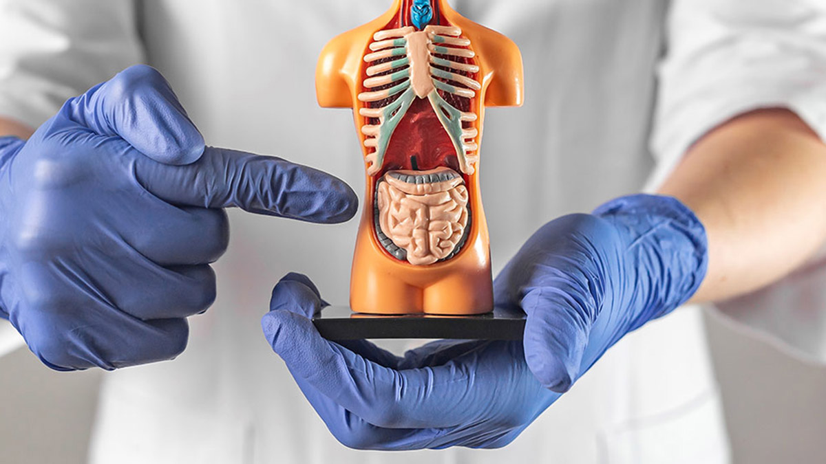 Kansızlık kolorektal kanserinin habercisi olabilir