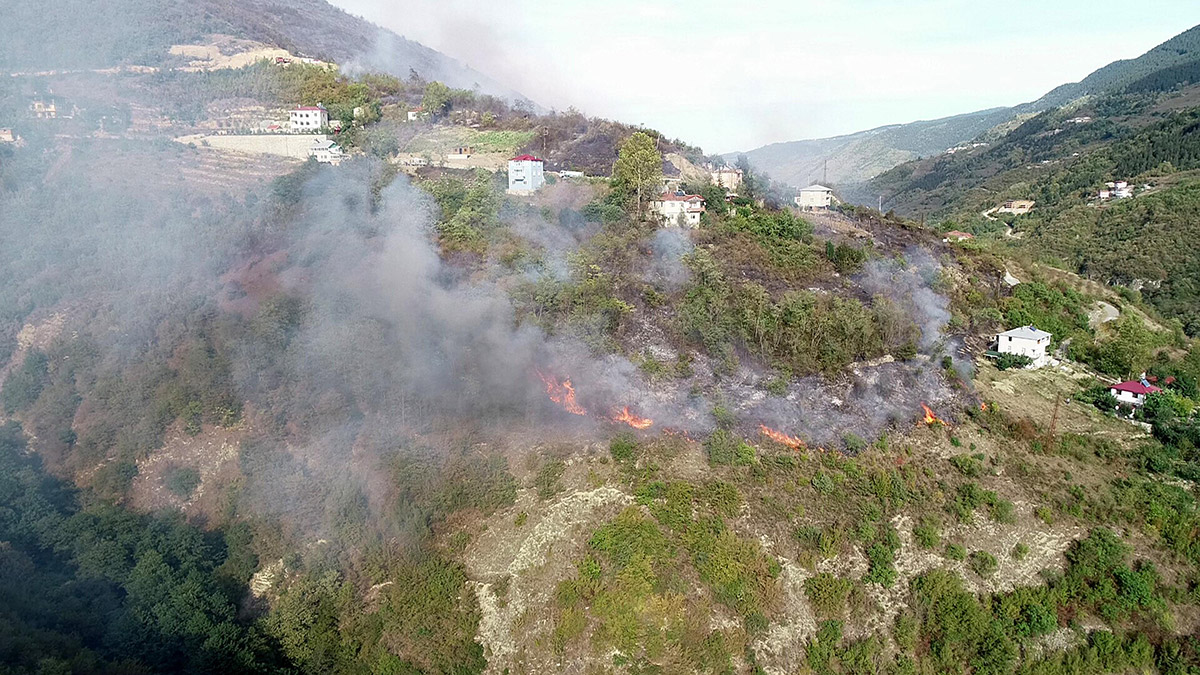 Karadeniz'de orman yangınları 2022'de düşüşe geçti