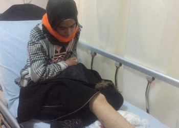 Köpeklerin saldırısına uğrayan Hayrunnisa yaralandı