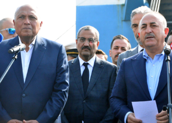 Mısır Dışişleri Bakanı Shoukry Türkiye'de