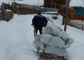 Odunları kızaklarla indirip depremzedelere gönderdiler