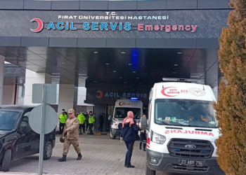 Ruhsatsız tabancasını temizlerken annesini yaraladı
