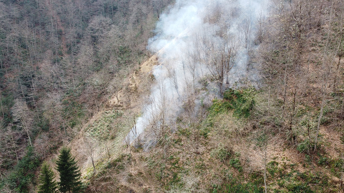 Sürmene ve Köprübaşı'nda örtü yangınları