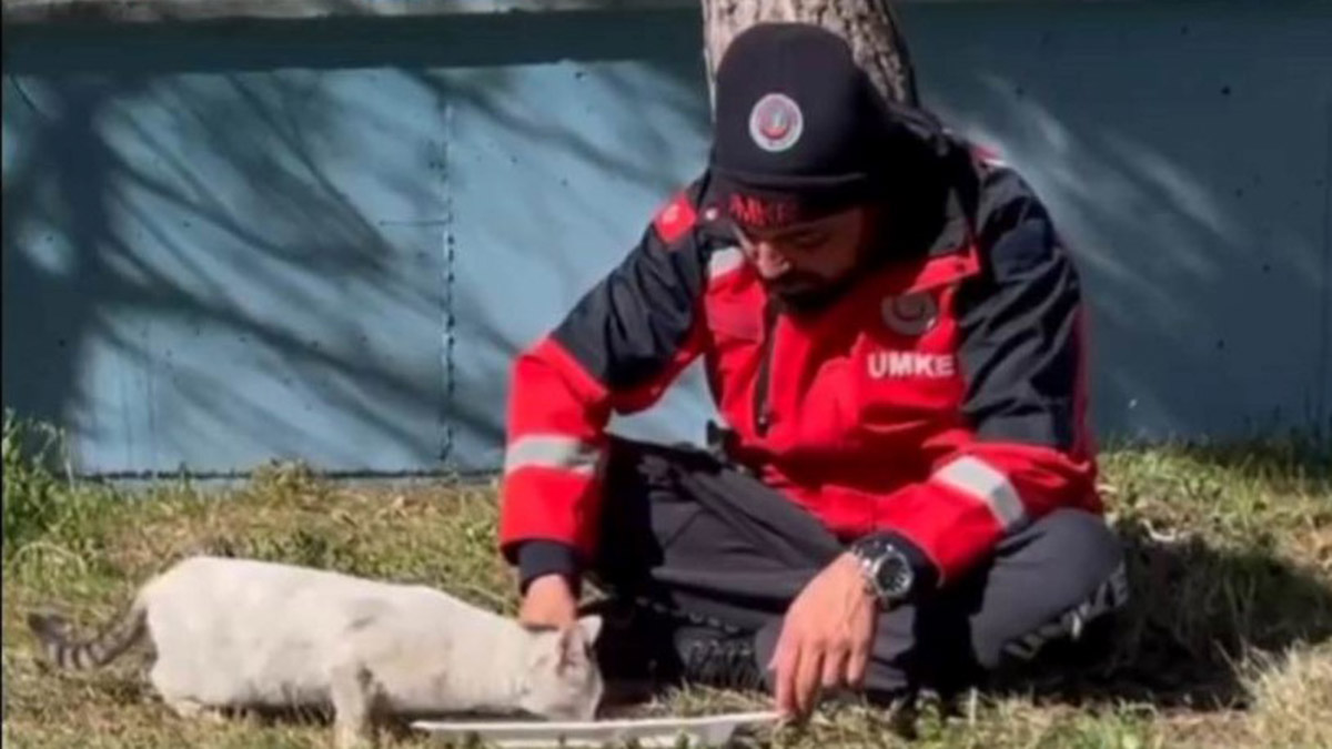 UMKE personeli, sokak kedisi ile yemeğini paylaştı