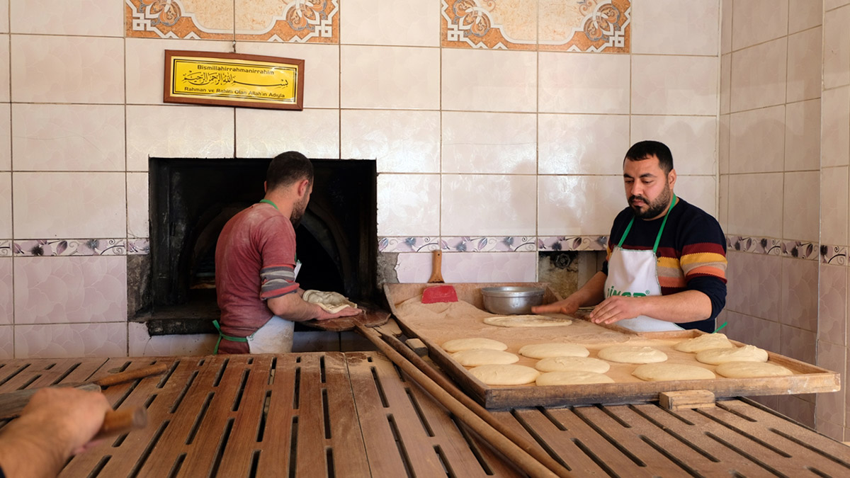 Deprem bölgelerine her gün 5 bin ekmek ulaştırıyor
