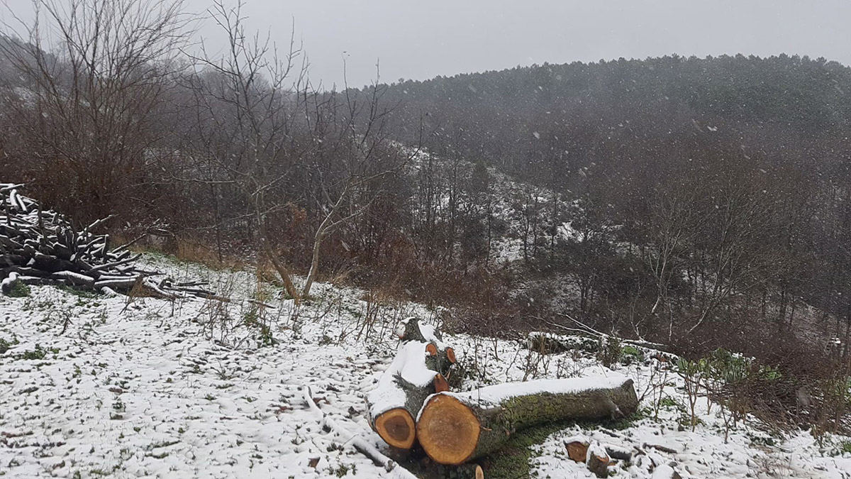 Çatalca kar yağışı ile beyaza büründü