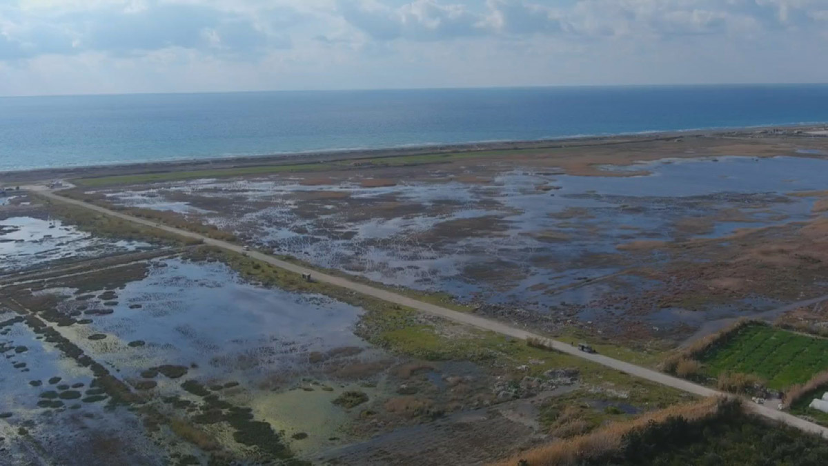 Milleyha Kuş Cenneti'nin etrafı çöpe döndü