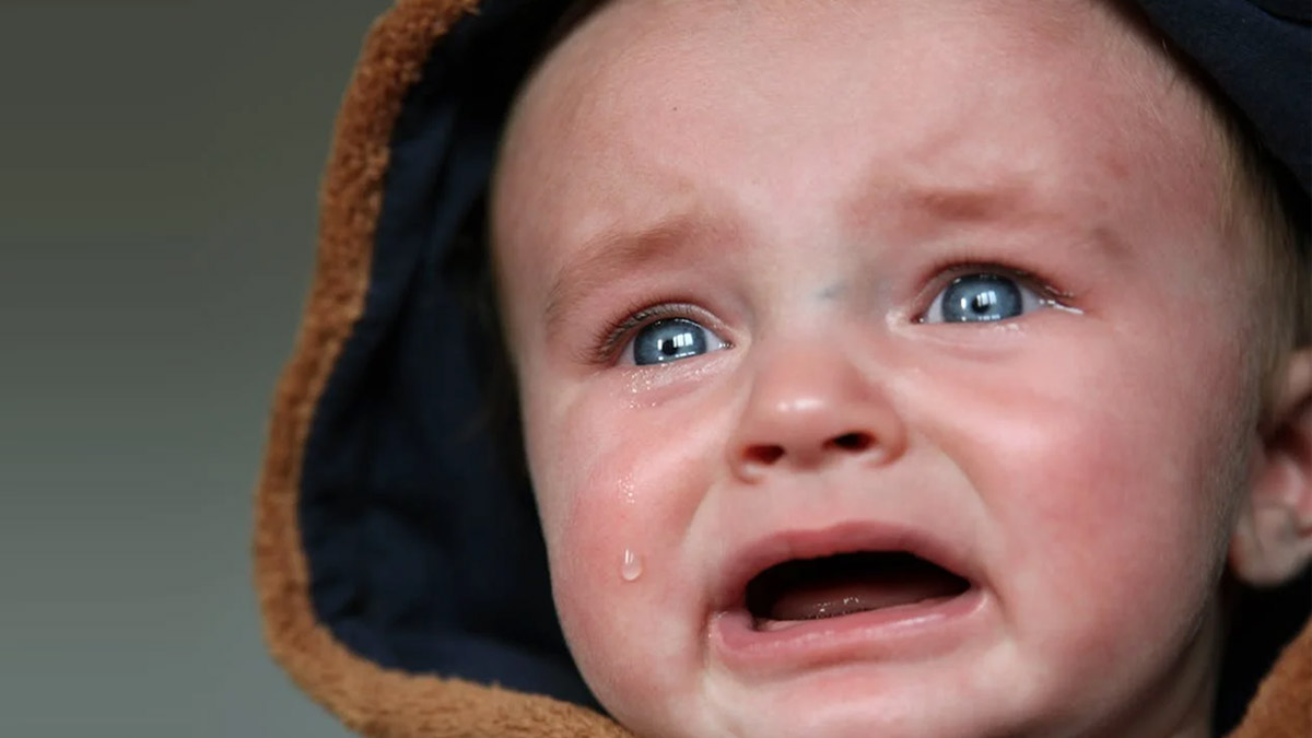 Dışlanan Yahudi Çocukları: Mamzerim