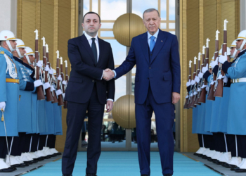 Erdoğan Gürcistan Başbakanı ile görüştü