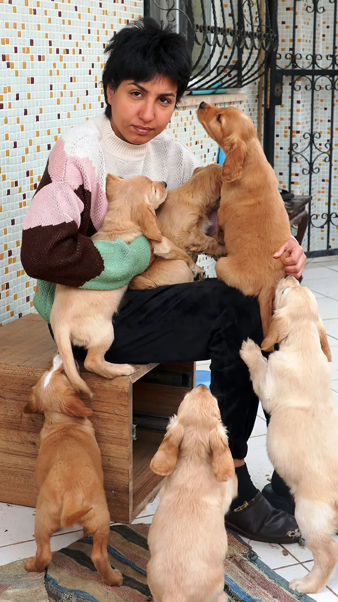 Kahramanmaraş merkezli depremlerde hatay i̇skenderun'da evleri hasar gören seda avcı (29) ile annesi, yanlarına köpekleri 'kuki' ve 7 yavrusunu alarak geldikleri antalya'ya yerleşti.